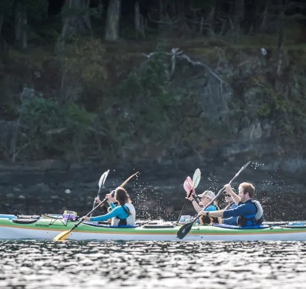 Orca Search by Kayak