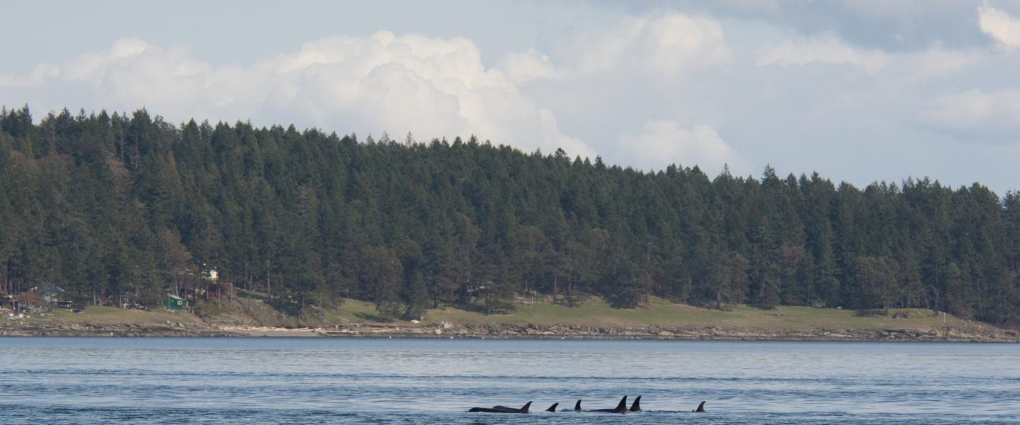 J Pod heading North J Pod heading North