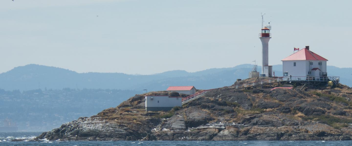 Killer whale visiting Trial Island Lighthouse Orca whale in Canadian waters