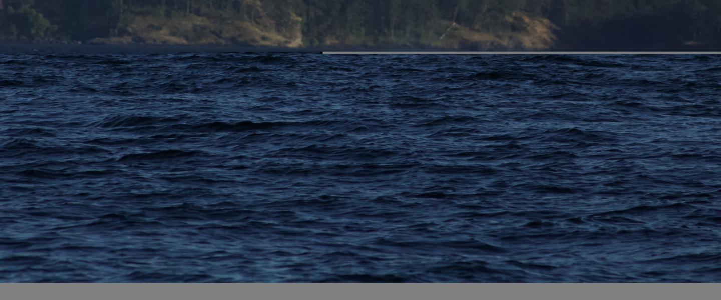 T124A family group of Bigg's Orcas Bigg's Orcas