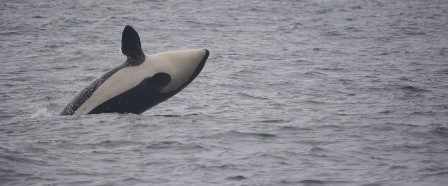 Notch Having a GREAT TIME!