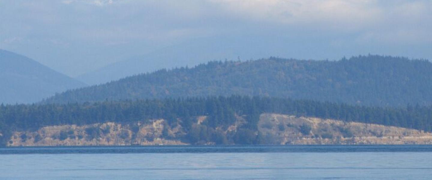 Humpback Whales in the Strait of Georgia Humpback Whales near Mount Baker