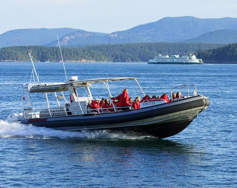 Adventure Whale Watch from Friday Harbor