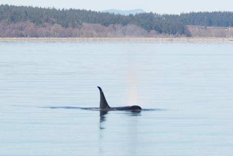 T046's in Crescent Harbor