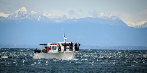 M/V Sea Lion