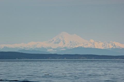 Mt. Baker