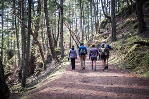 Explore San Juan Island