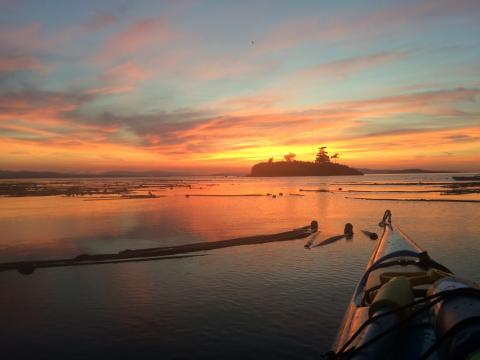 Kayaking in the San Juan Islands