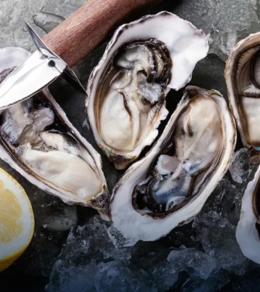 Shucking Oysters